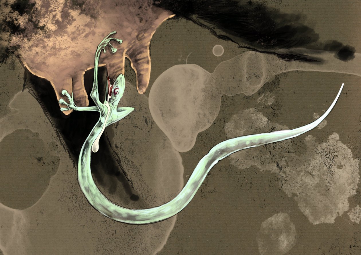 Monstres et créatures fantastiques, cryptozoologie : représentation d