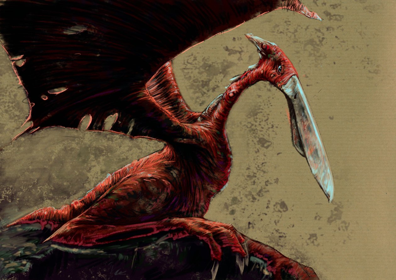 Monstres et créatures fantastiques, cryptozoologie : représentation d