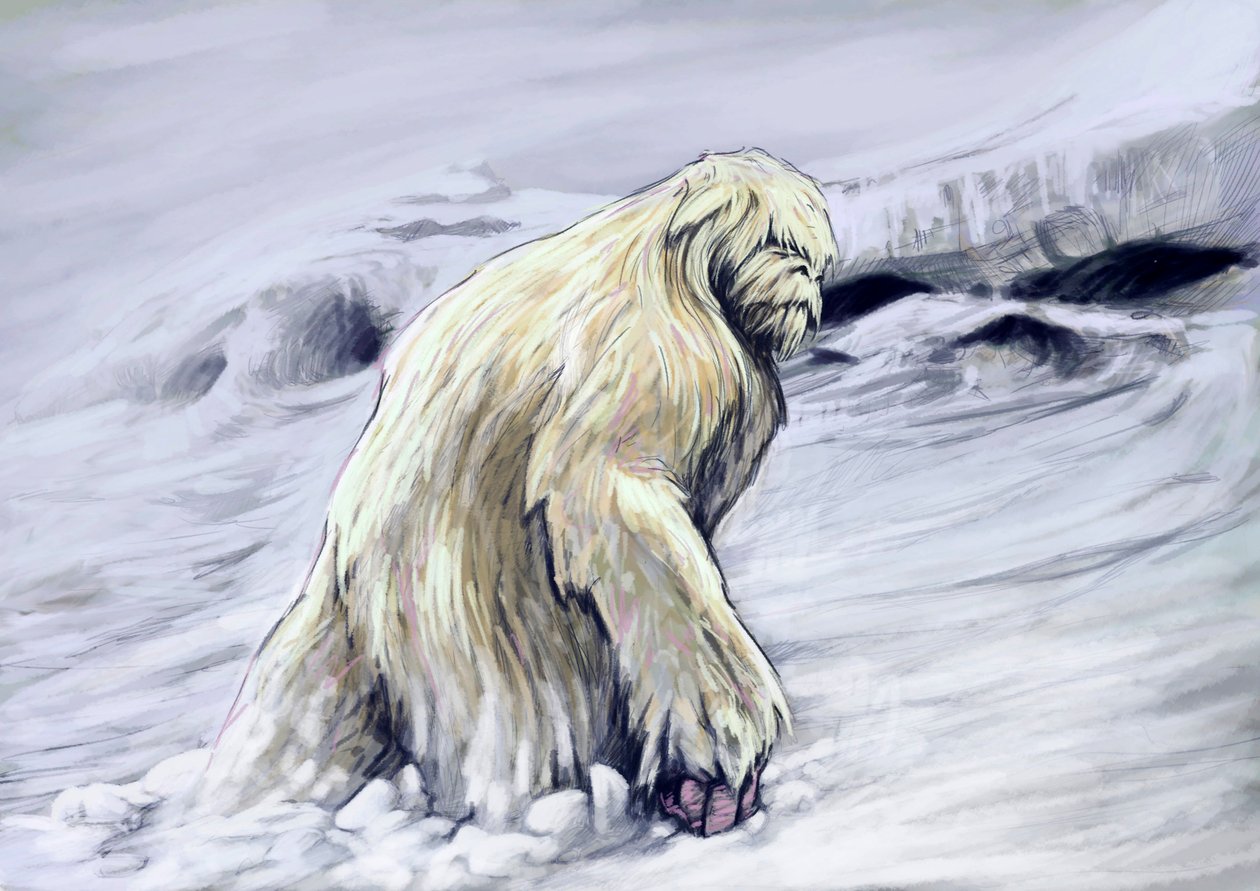 Monstres et créatures fantastiques, cryptozoologie : représentation d