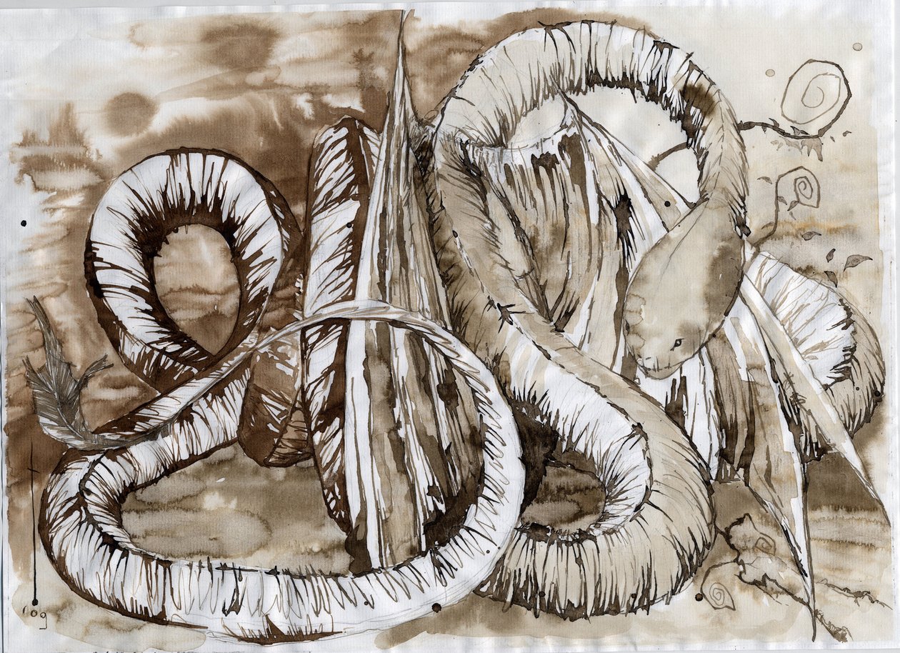Illustration d