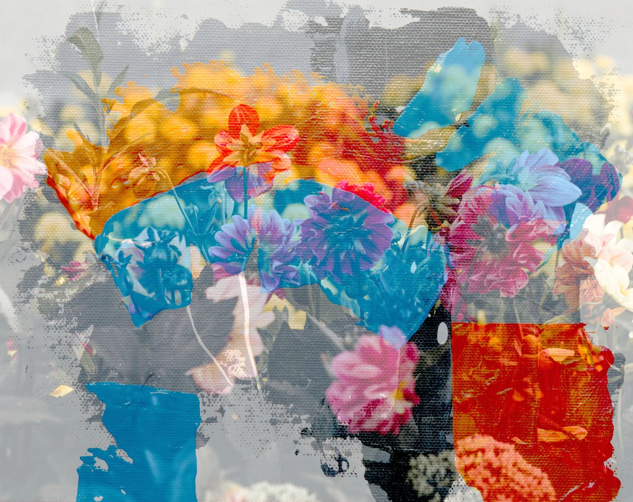 Arc-en-ciel - Alex Caminker