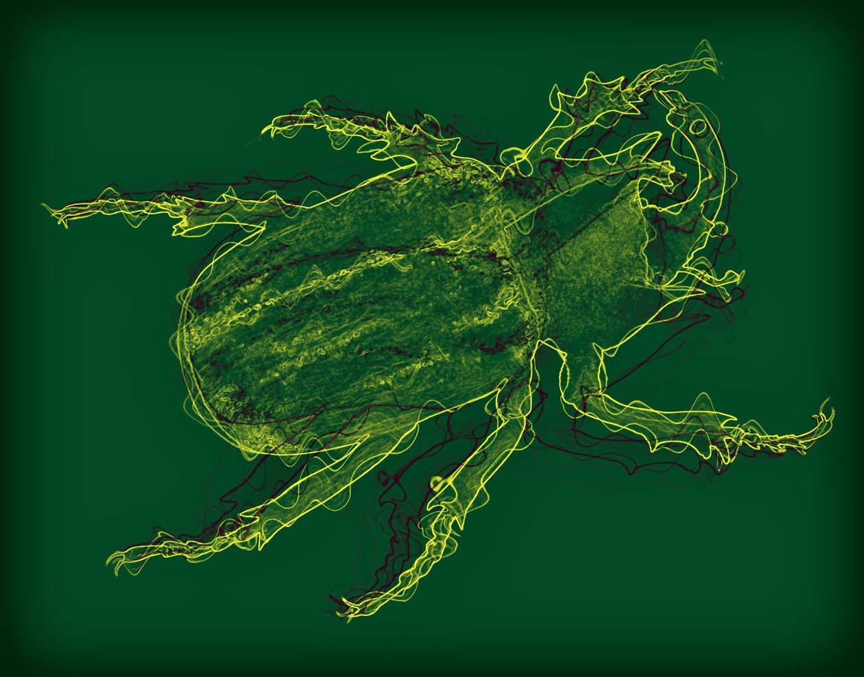 Insecte, 2020 - Alex Caminker