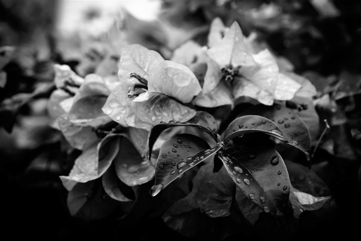 Cluster - Alex Caminker