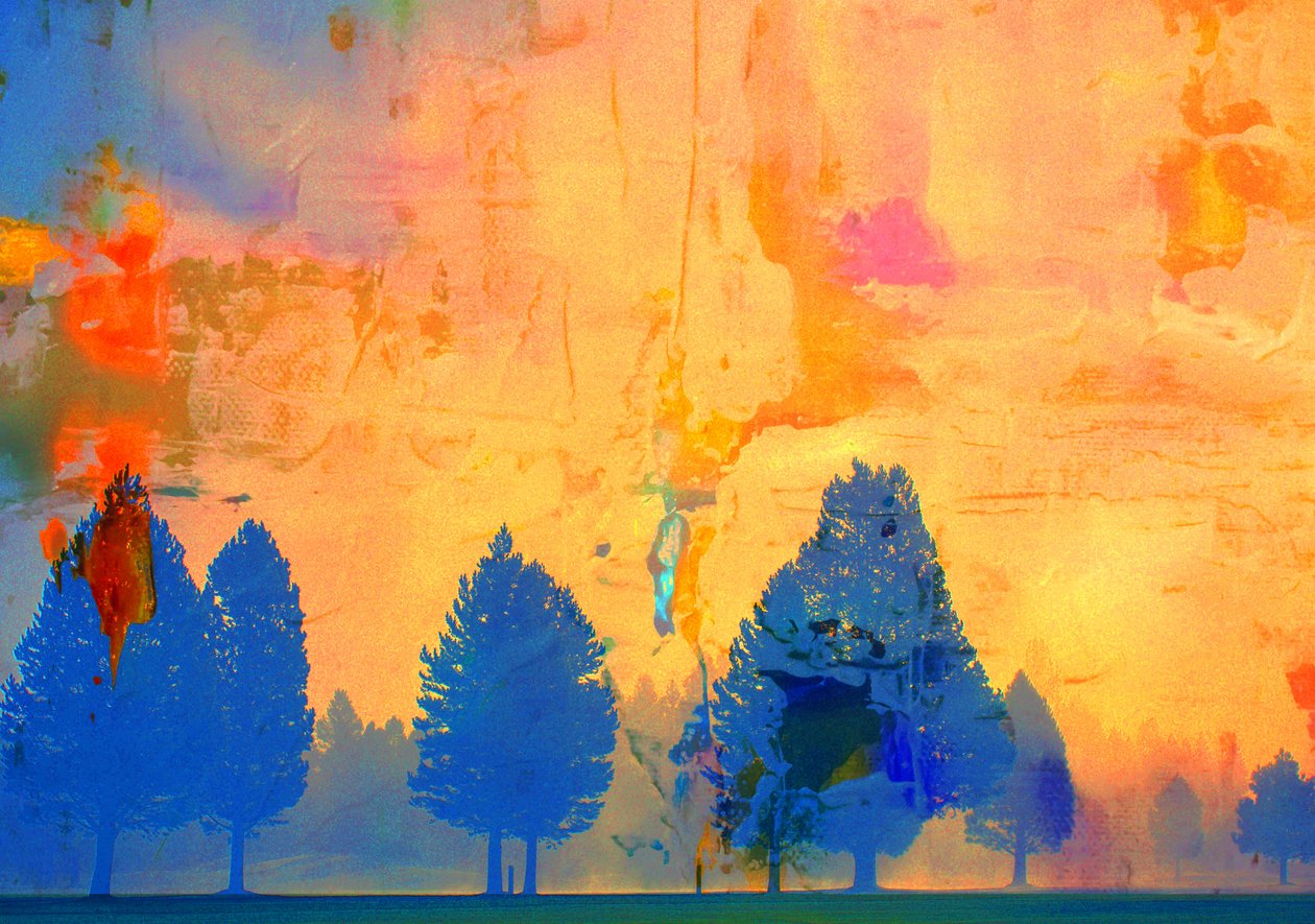 Feu froid - Alex Caminker