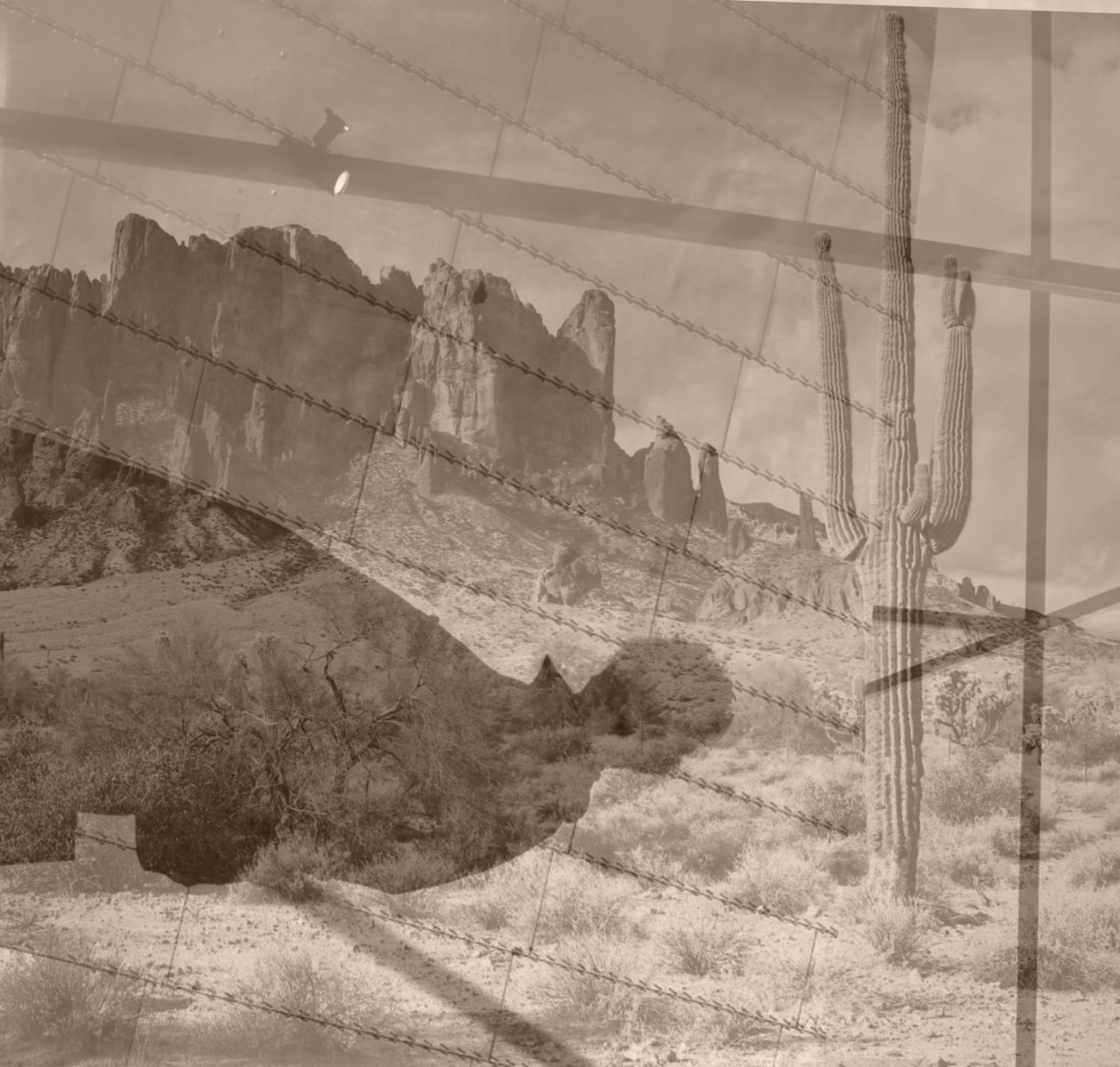 désert, 2019 - Alex Caminker