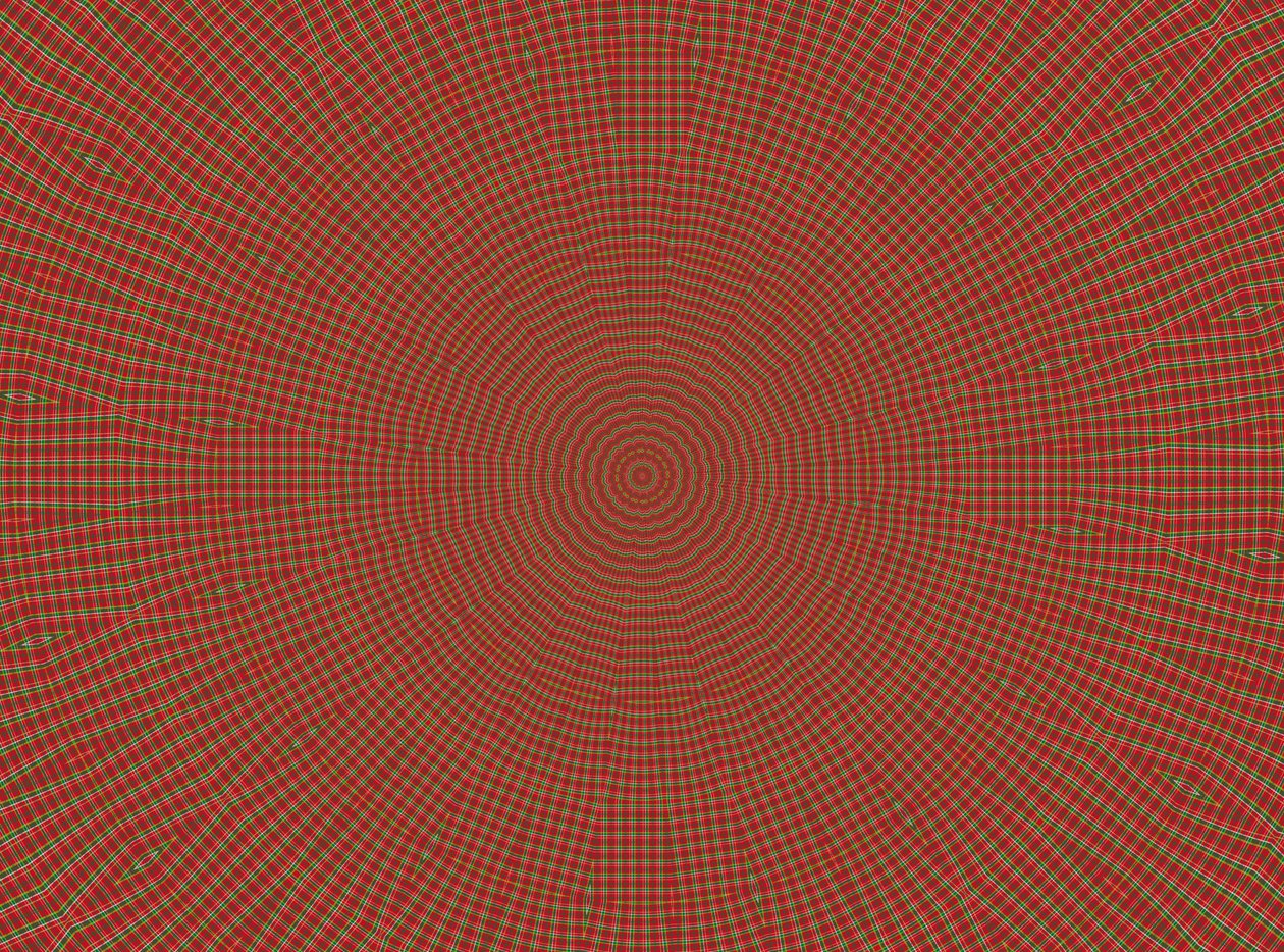 ornement #2, 2019 - Alex Caminker