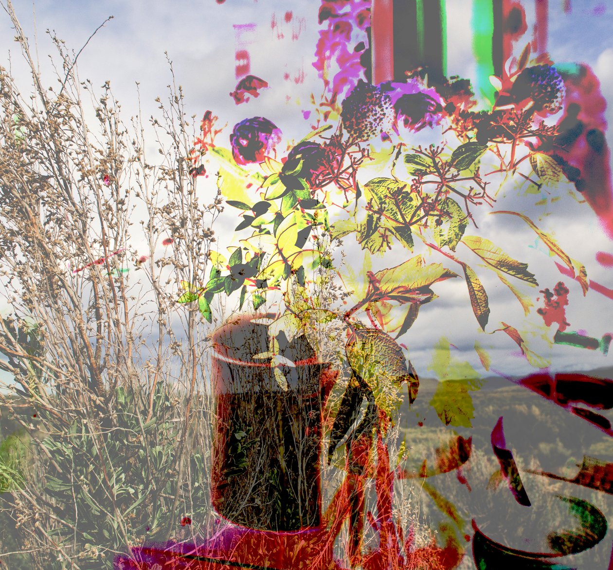 nature morte, 2019 - Alex Caminker