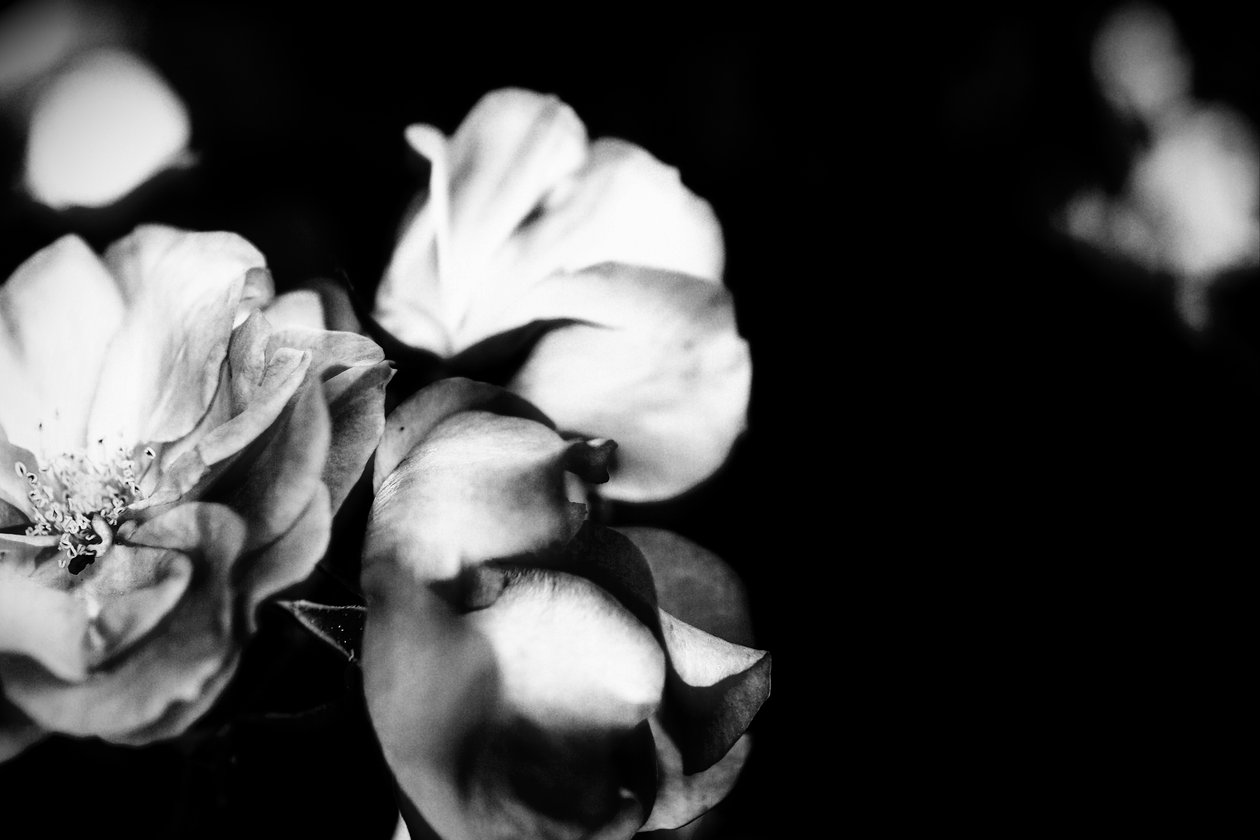 Tendresse, 2019 - Alex Caminker