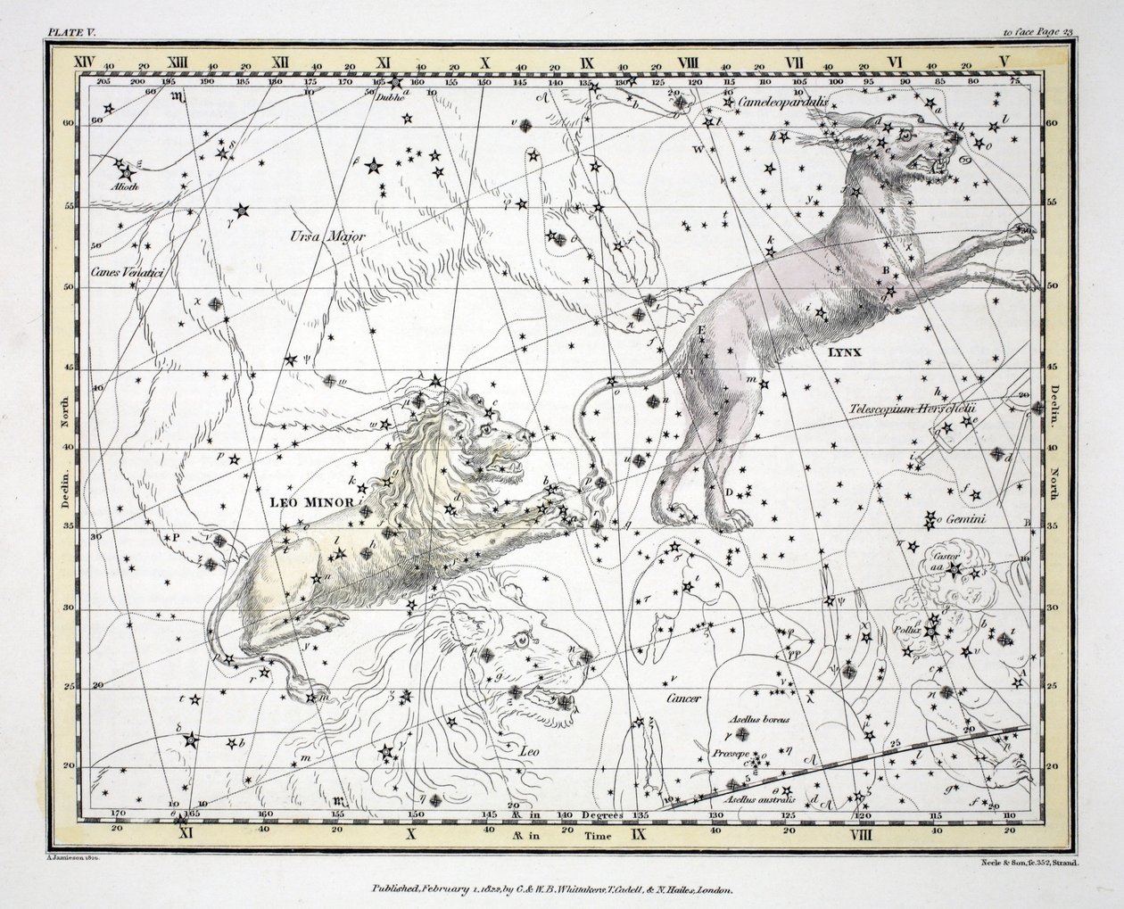 Les Constellations (Planche V) Lynx, Leo Minor, de 