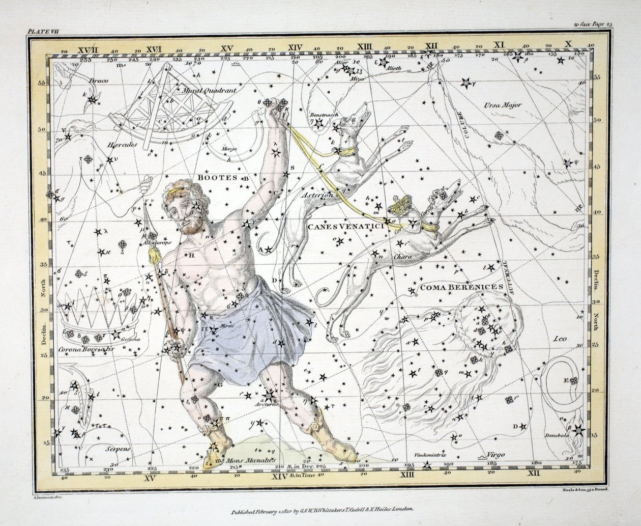Les constellations (Planche VII) Bootes et Mons Maenalus, Asterion et Chara ou Canes Venatici, Coma Berenices, de 