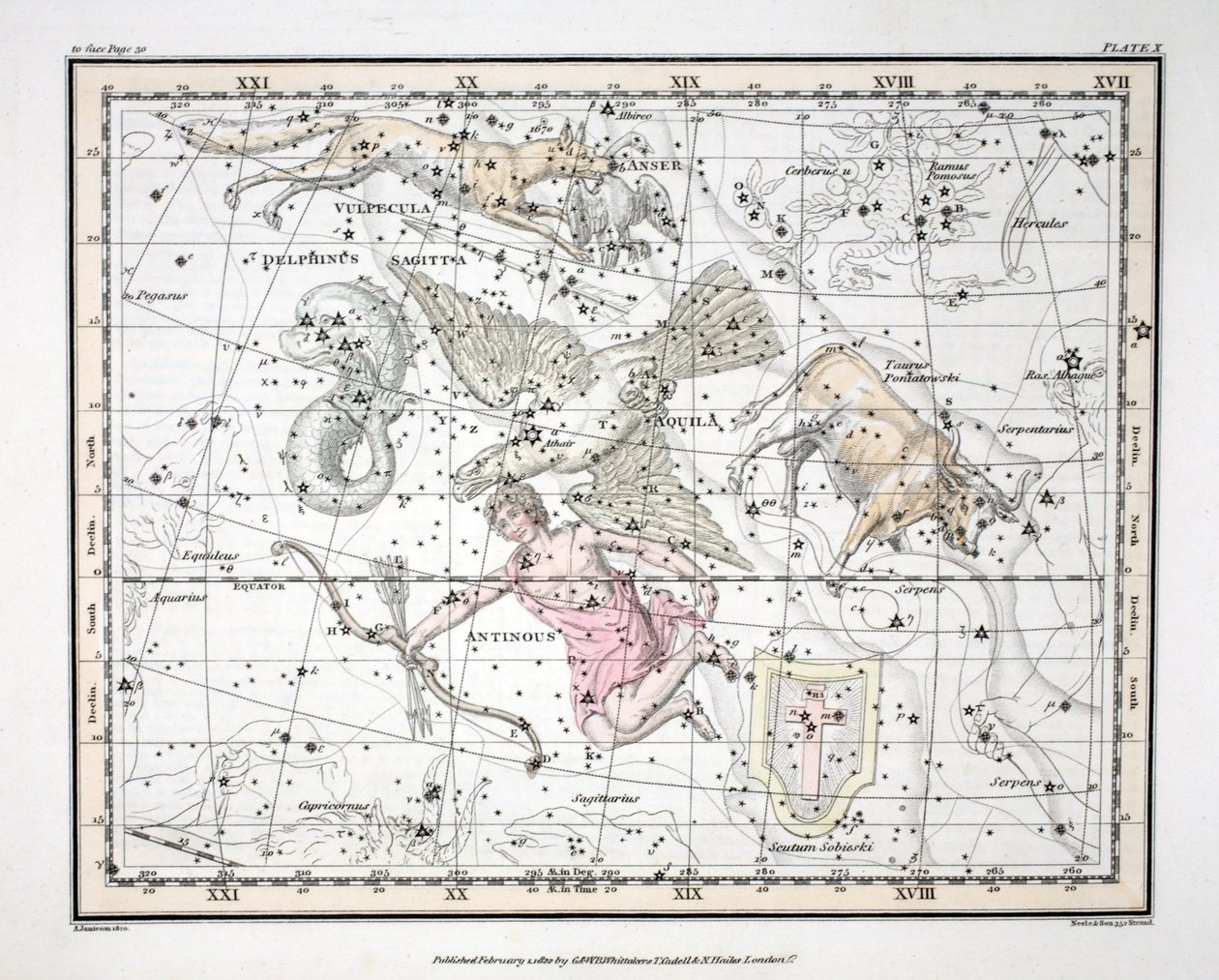 Les constellations (Planche X) Aquila et Antinous, Scutum Sobieski, Taurus Poniatowski, Sagitta, Valpecula et Anser, et Delphinus, de 