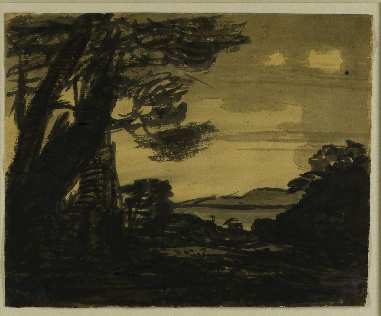 Chèvres au bord d