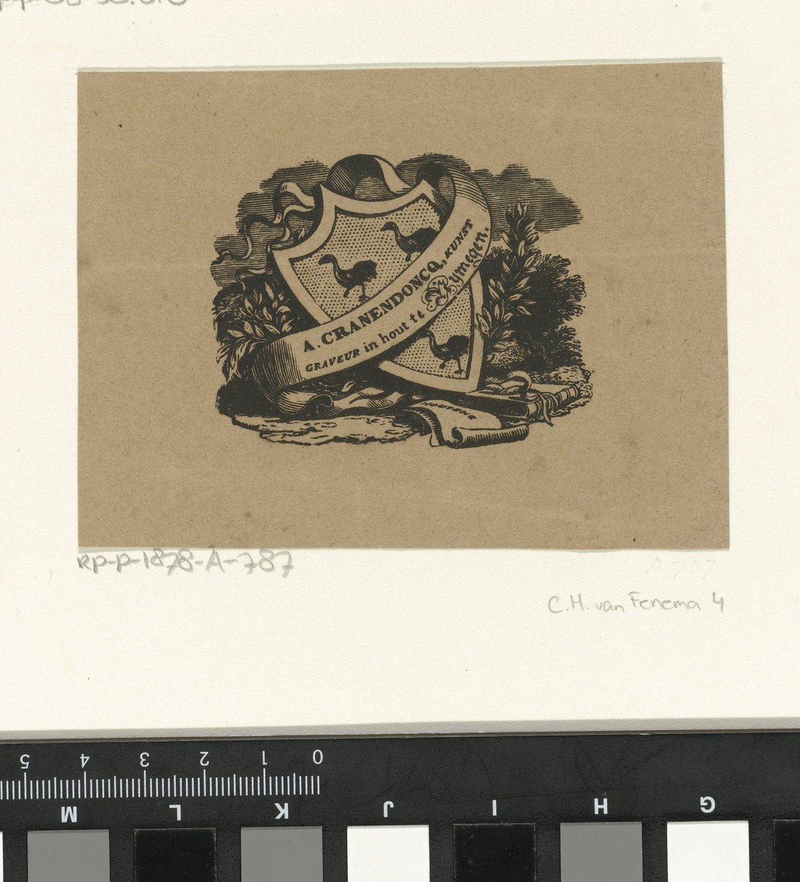 Armoiries de la famille Cranendoncq - Alexander Cranendoncq