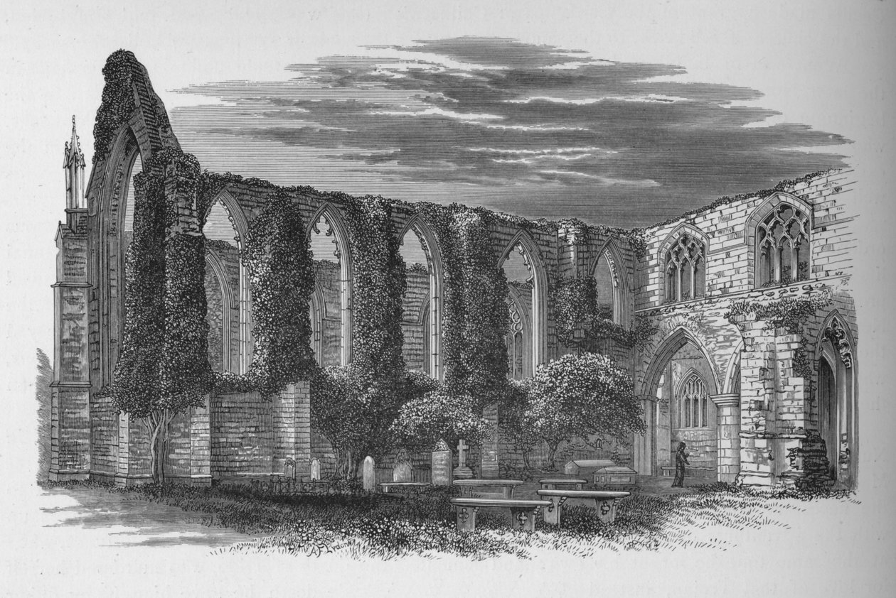 Du Nord, Bolton Priory - Alexander Francis Lydon