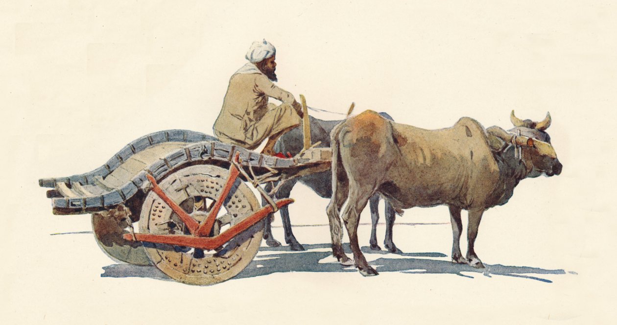 Un chariot à bœufs, Jodhpur, vers 1880 1905 - Alexander Henry Hallam Murray