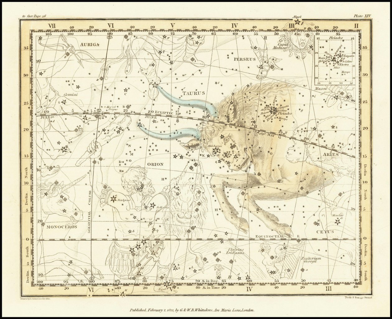 1822 - Alexander Jamieson - Taureau - Alexander Jamieson