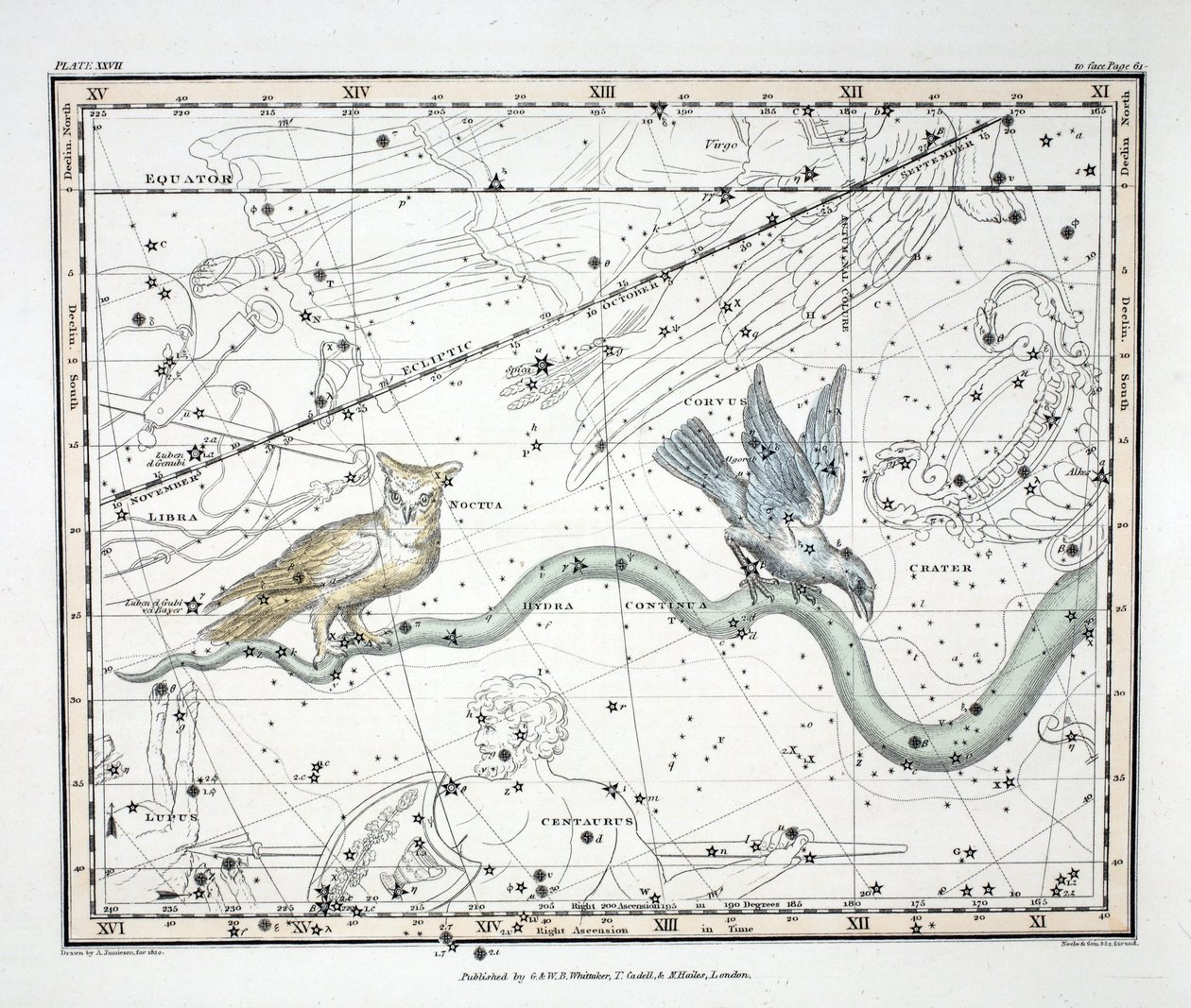 Les Constellations (Planche XXVII) Hydra Continua, Crater, Covus, Centaurus et Lupus, de 