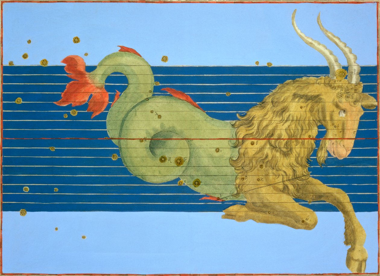 Constellation du Capricorne - Alexander Mair