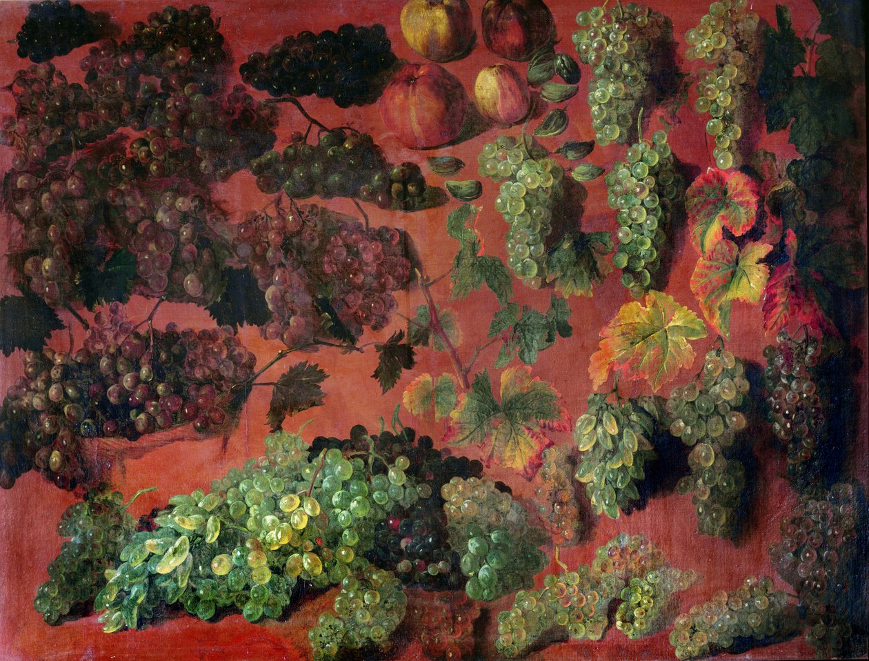 Nature Morte avec des Grappe de Raisins - Alexandre Francois Desportes
