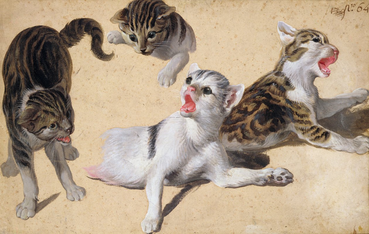 Quatre études de chatons - Alexandre Francois Desportes