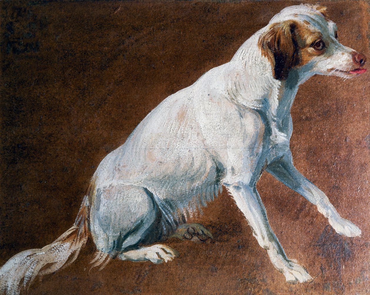 Ancêtre du Spaniel français, par Alexandre-François Desportes (1661-1743), France - Alexandre Francois Desportes