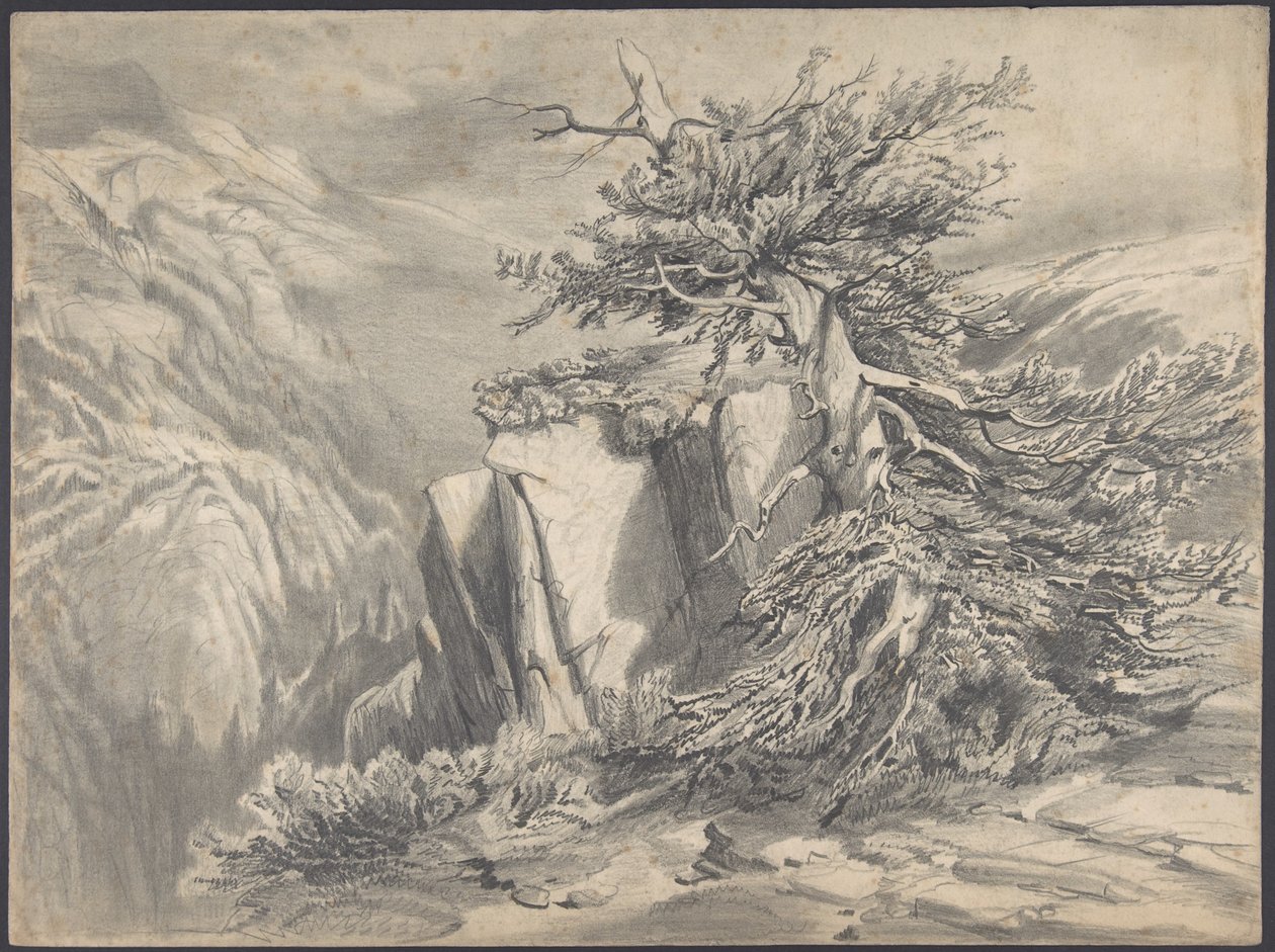 Arbre brisé dans un paysage montagneux - Alexandre Calame