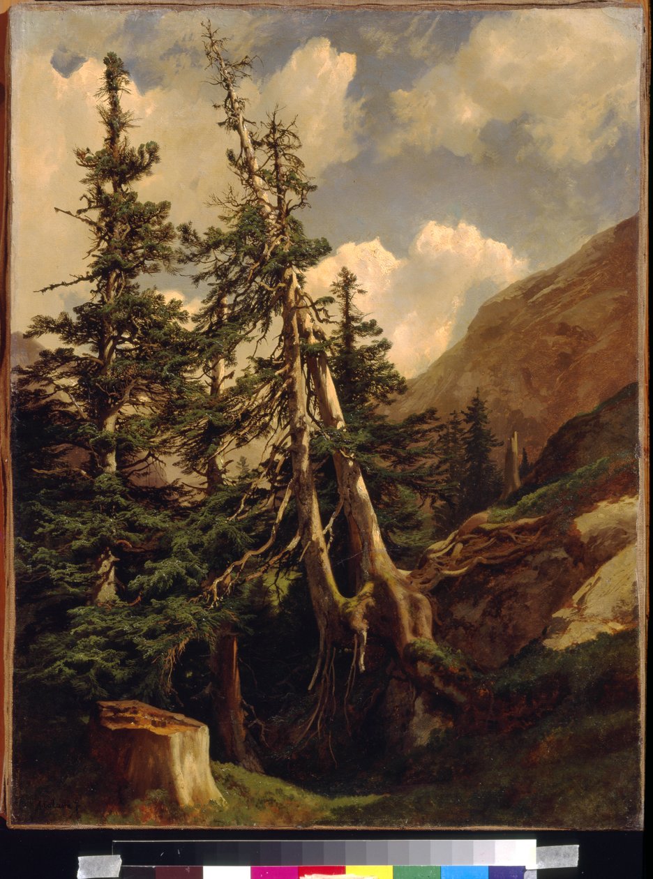 Forêts dans les montagnes par Alexandre Calame (1810-1864) - Alexandre Calame