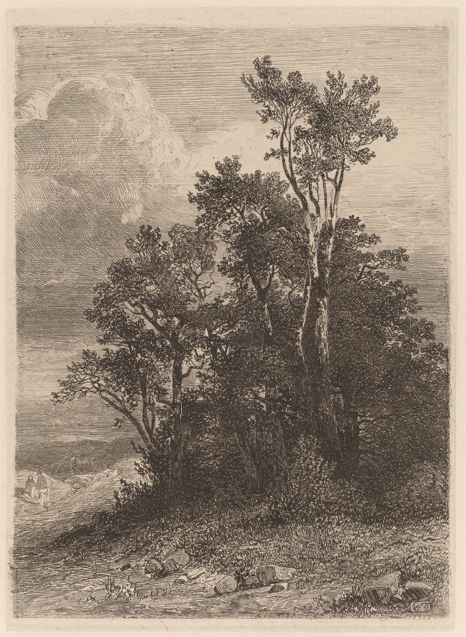 Bosquet d