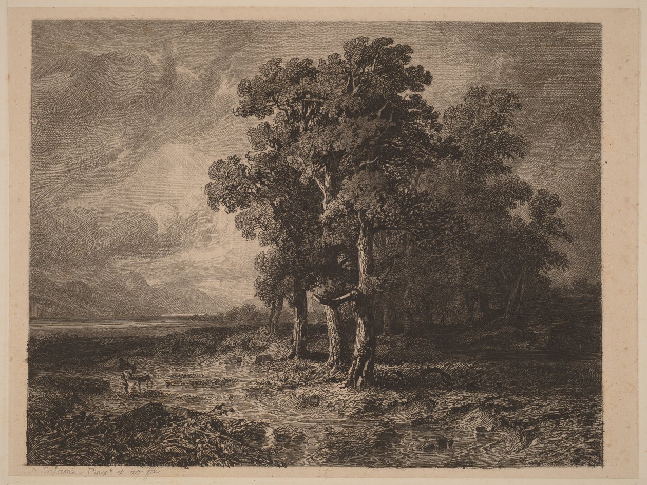 Arbres dans la tempête - Alexandre Calame