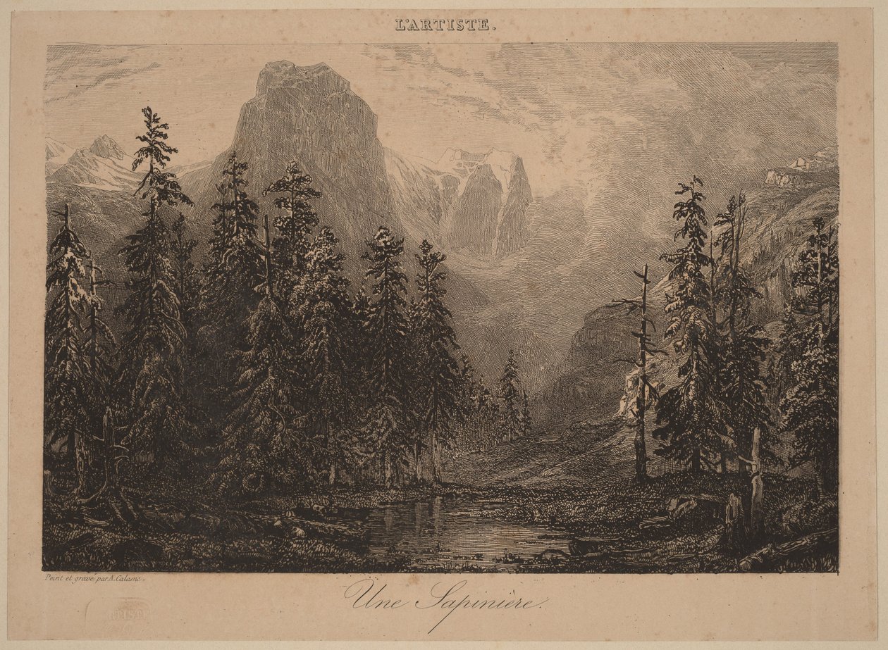 Une Sapinière - Alexandre Calame