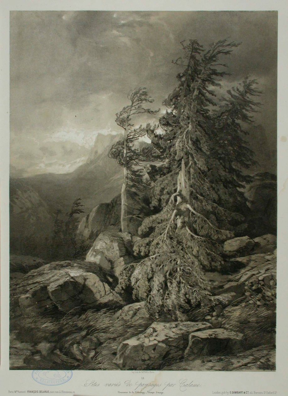 Sans titre - Alexandre Calame