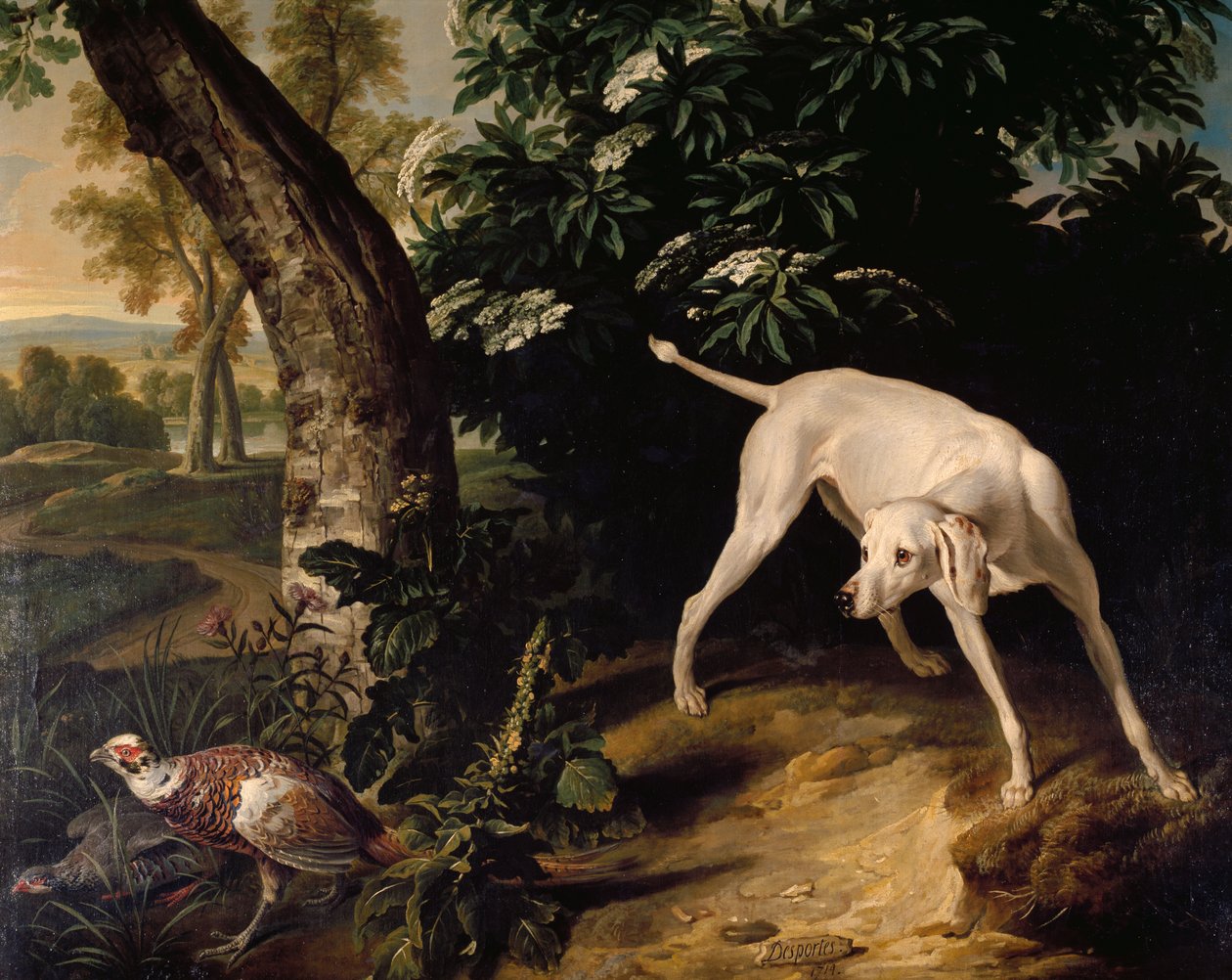 Scène de chasse (détail) - Alexandre Francois Desportes