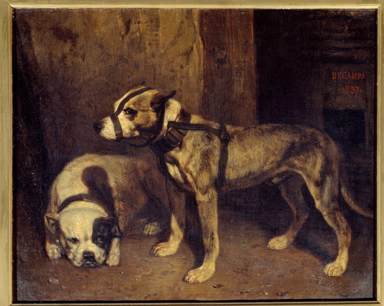 Bouledogue écossais et terrier Peinture d