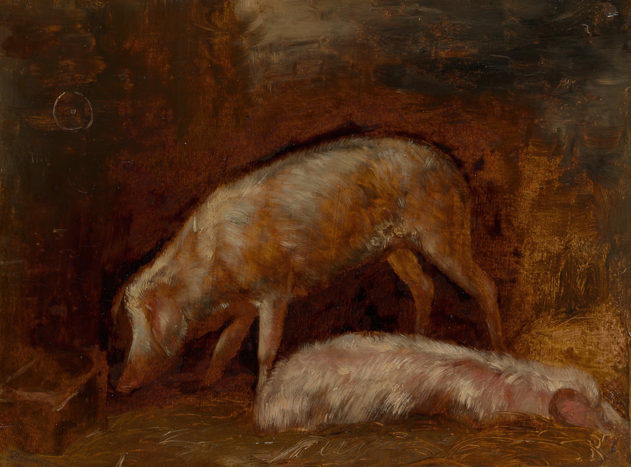Étude de cochons, 1850-60 - Alexandre Gabriel Decamps