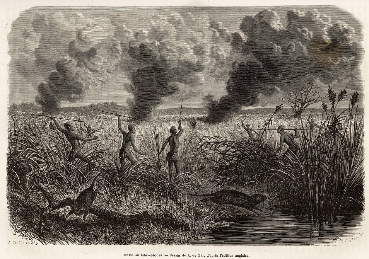 La tribu bongo chasse le rat des roseaux, gravure d