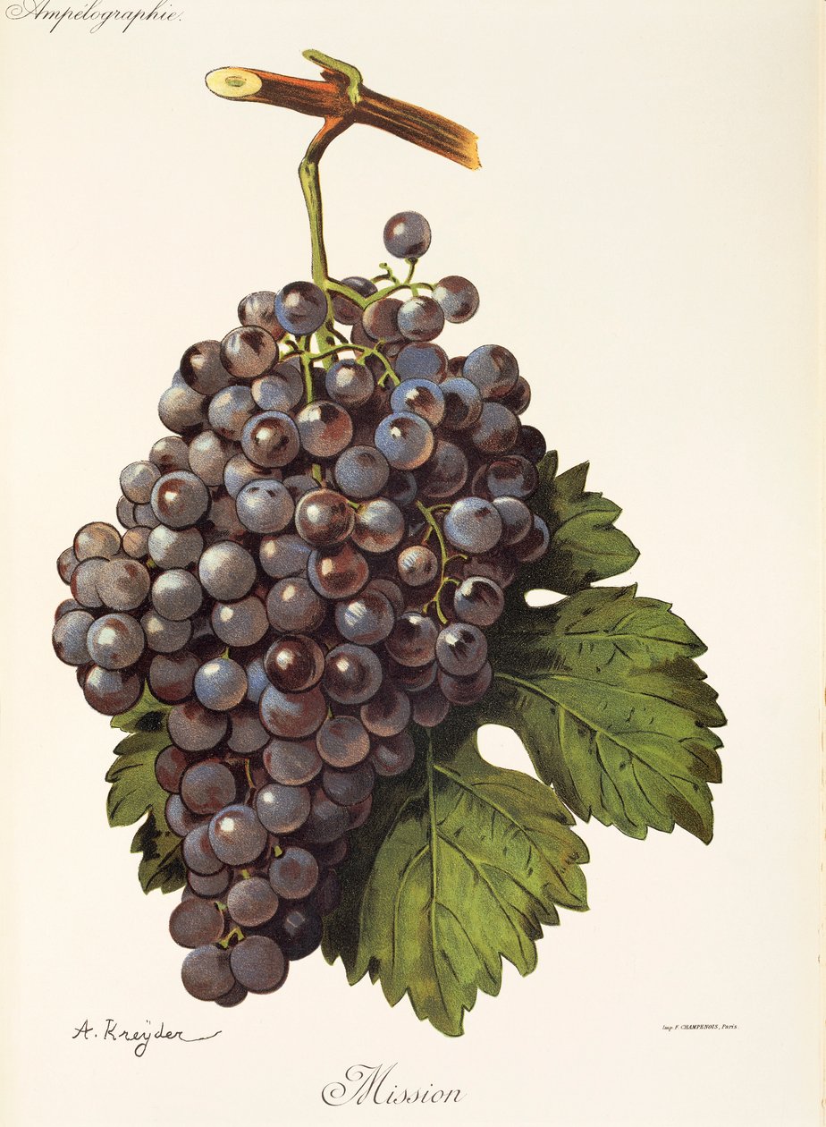 Raisin Mission - Alexis Kreyder