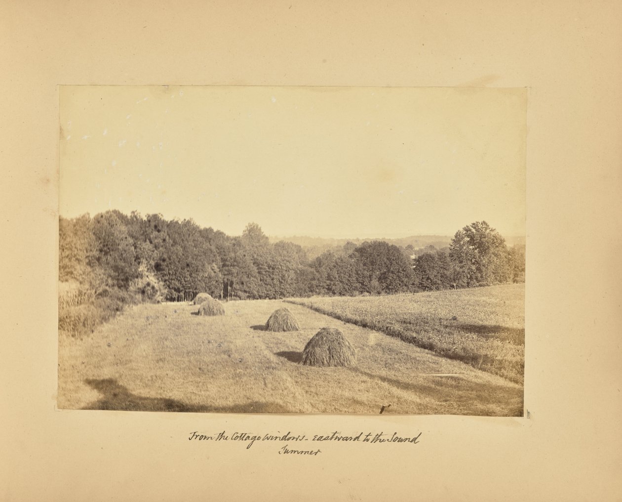 Depuis les fenêtres du chalet - Vers l