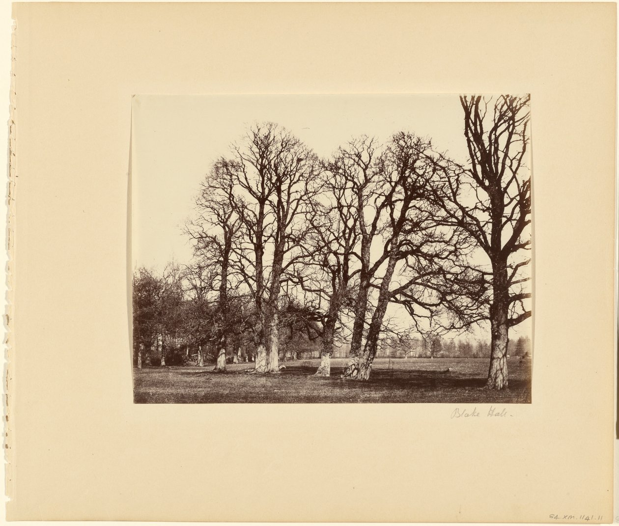 Blake Hall - Alfred Capel Cure
