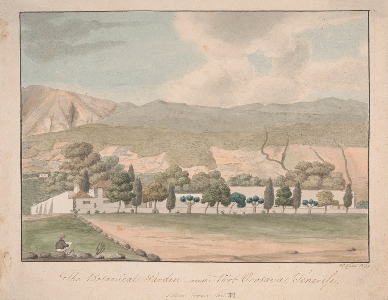 Le jardin botanique près de Port Orotava, Tenerife - Alfred Diston