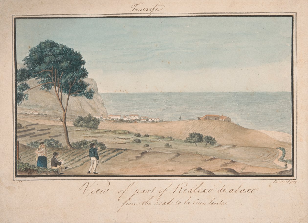 Vue d
