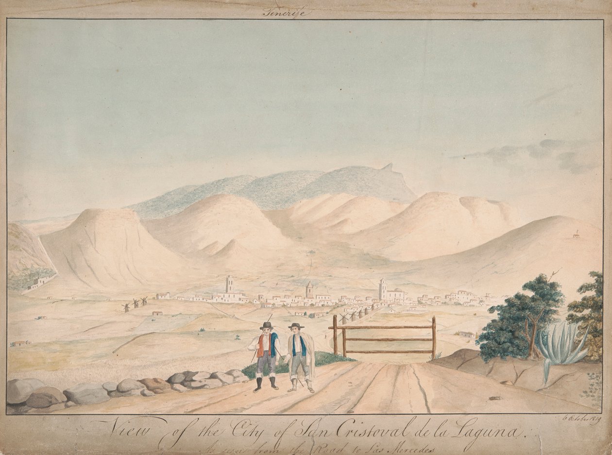 Vue de la ville de San Cristóbal de La Laguna depuis la route de Las Mercedes - Alfred Diston