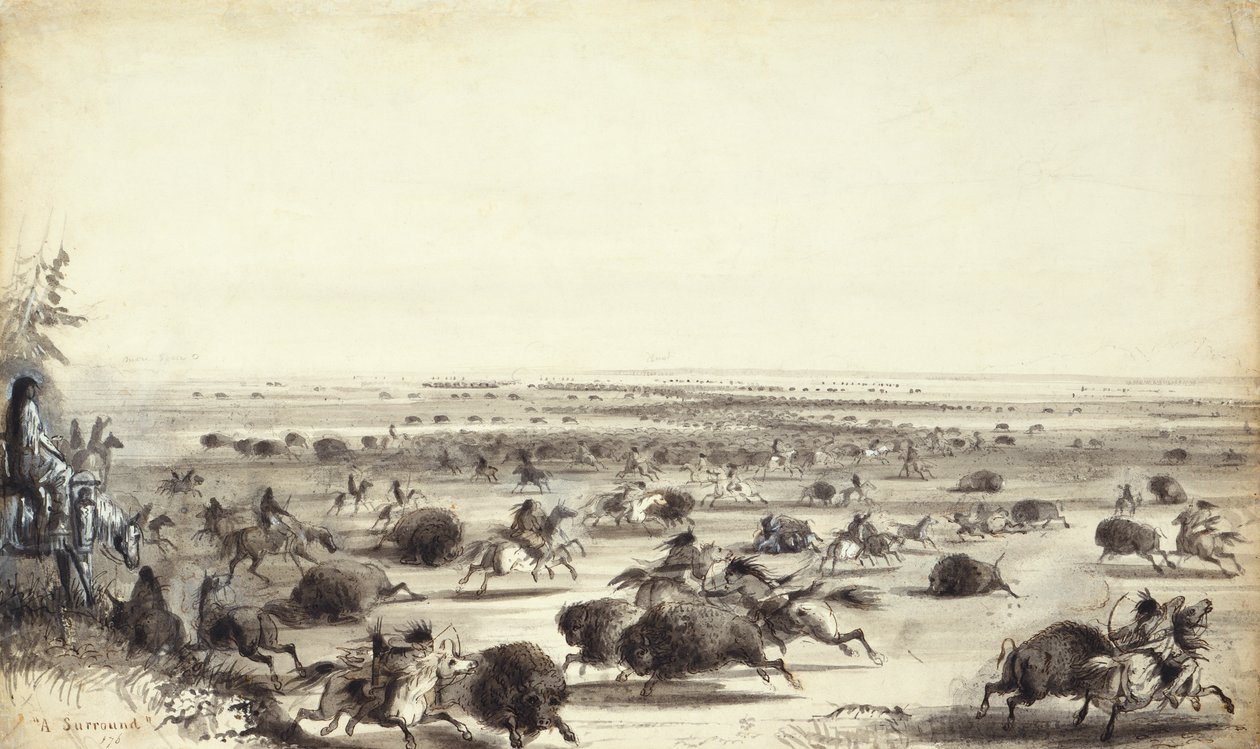 Une « chasse » de bisons par des Indiens, c.1858 - Alfred Jacob Miller