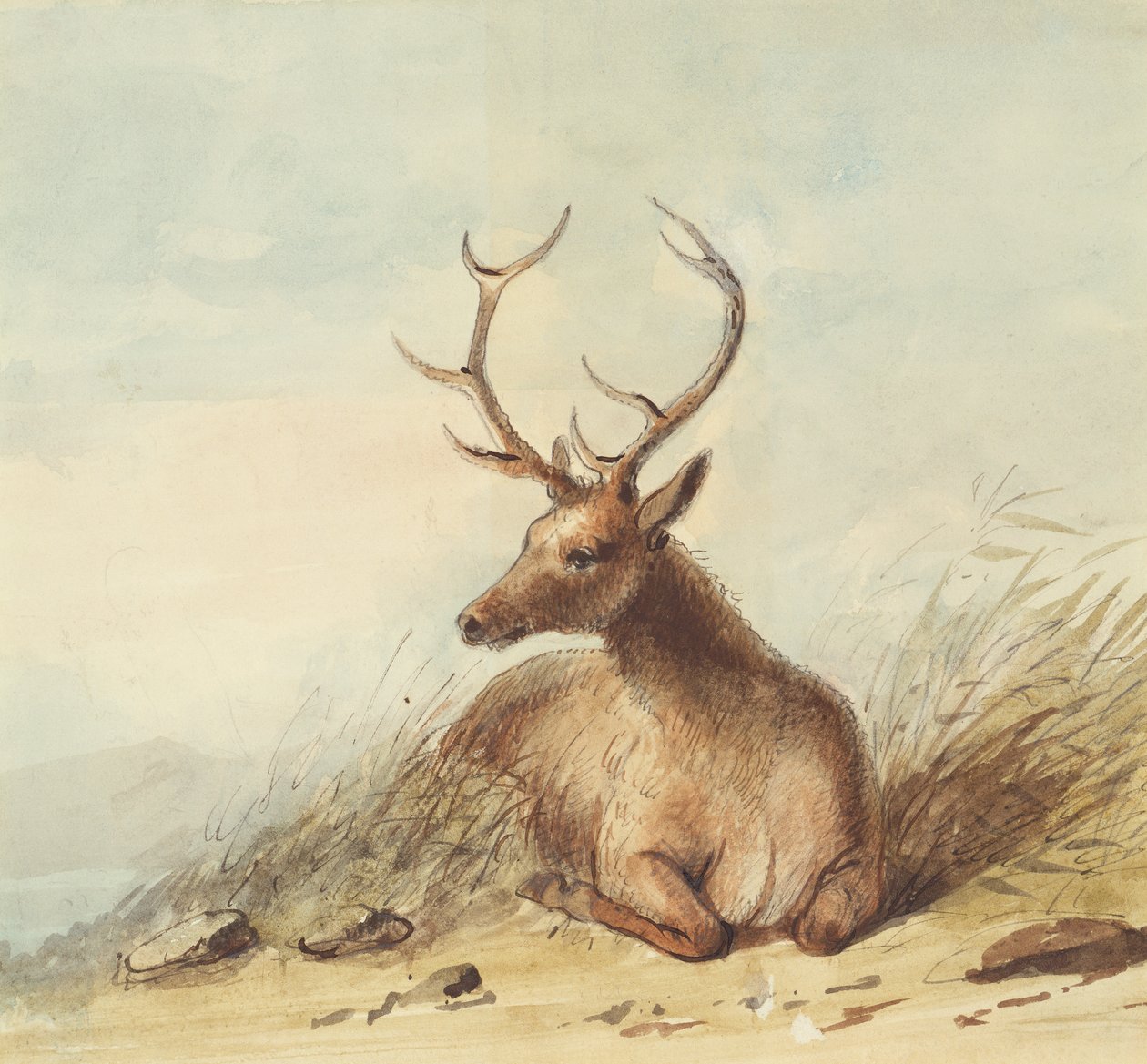 Élan, Montagnes Rocheuses, vers 1837 - Alfred Jacob Miller