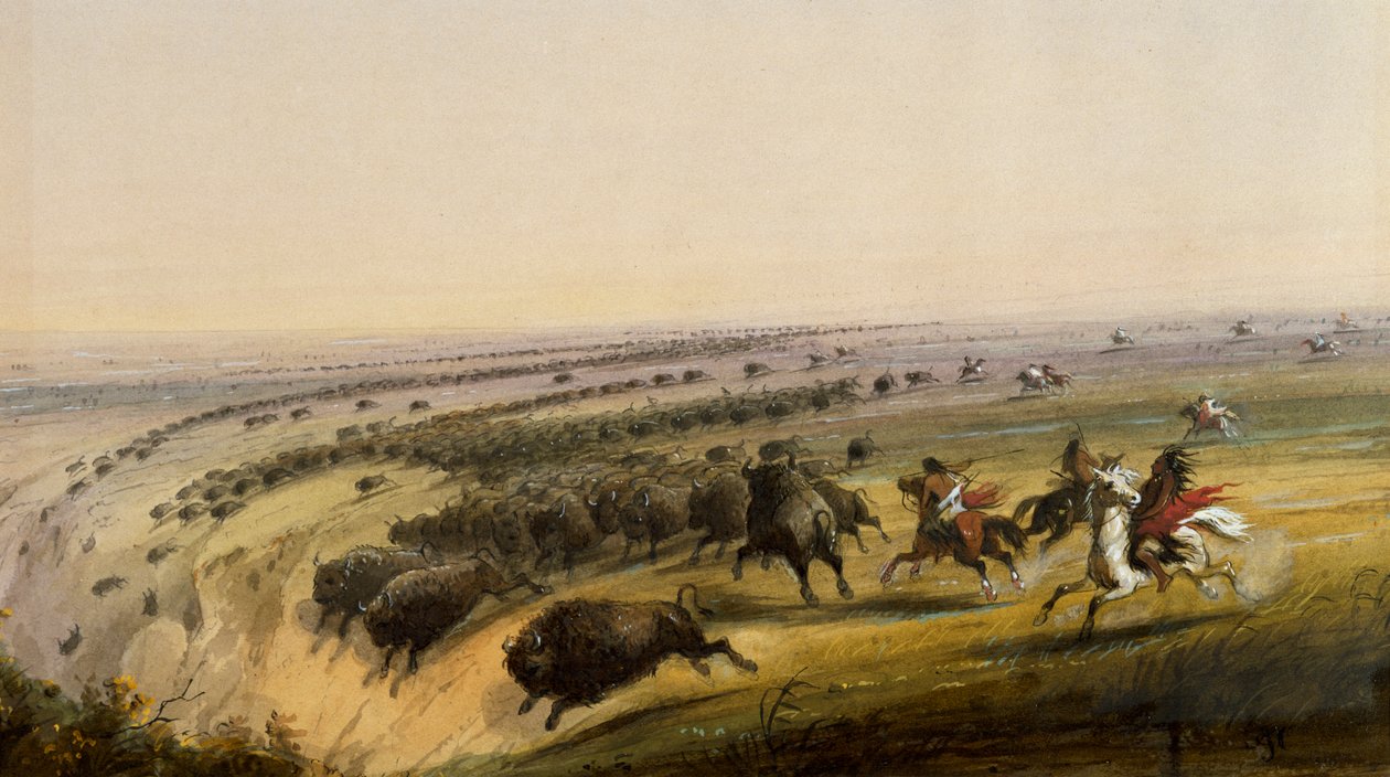 Chasse au buffle - Alfred Jacob Miller