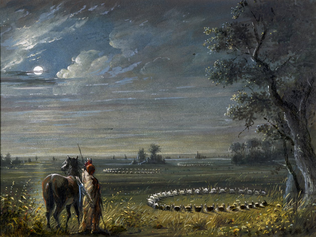 Cercles médicinaux - Alfred Jacob Miller