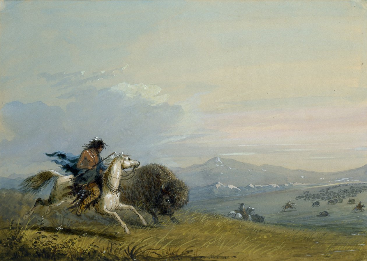 Le bison au galop des Pawnees - Alfred Jacob Miller