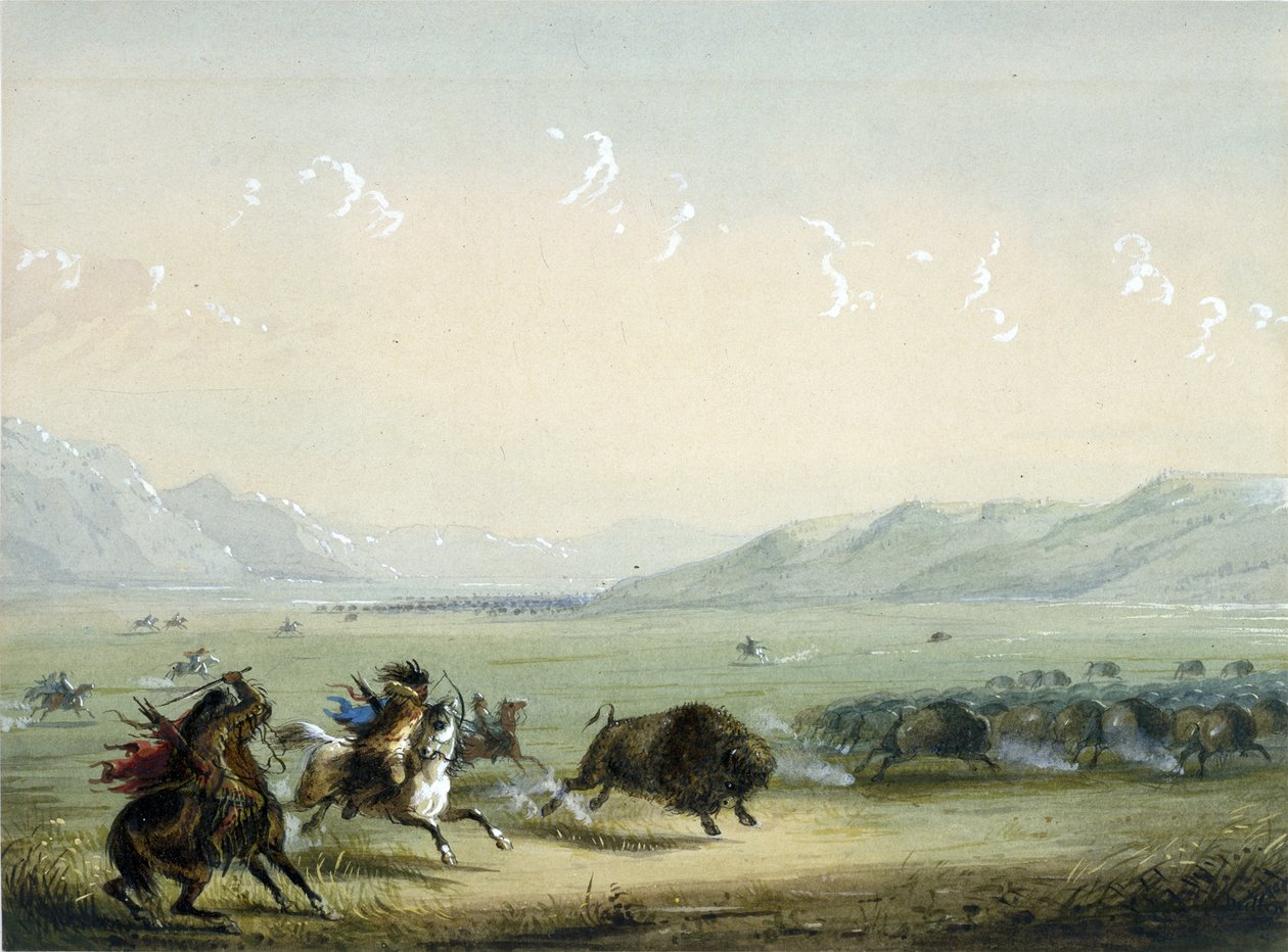 Buffalo en pleine course - Alfred Jacob Miller