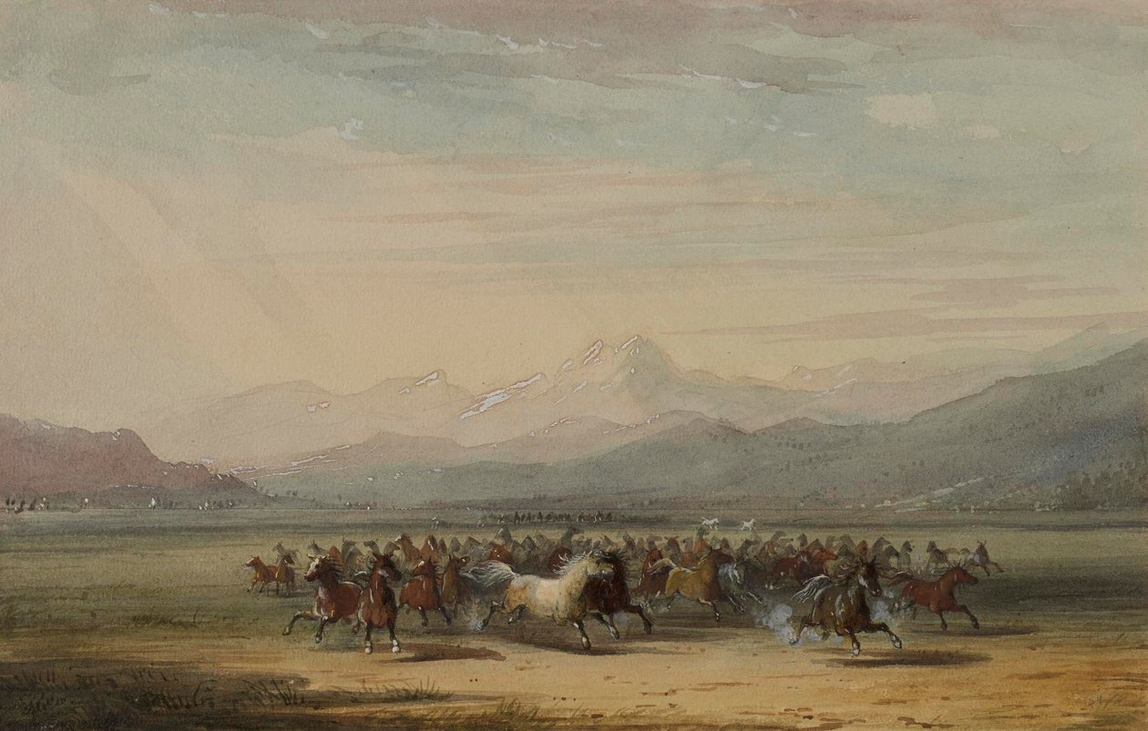 Ruée de chevaux sauvages - Alfred Jacob Miller