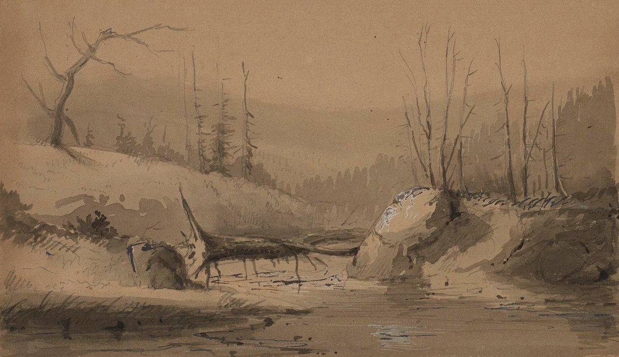 Ruisseau avec un arbre tombé - Alfred Jacob Miller