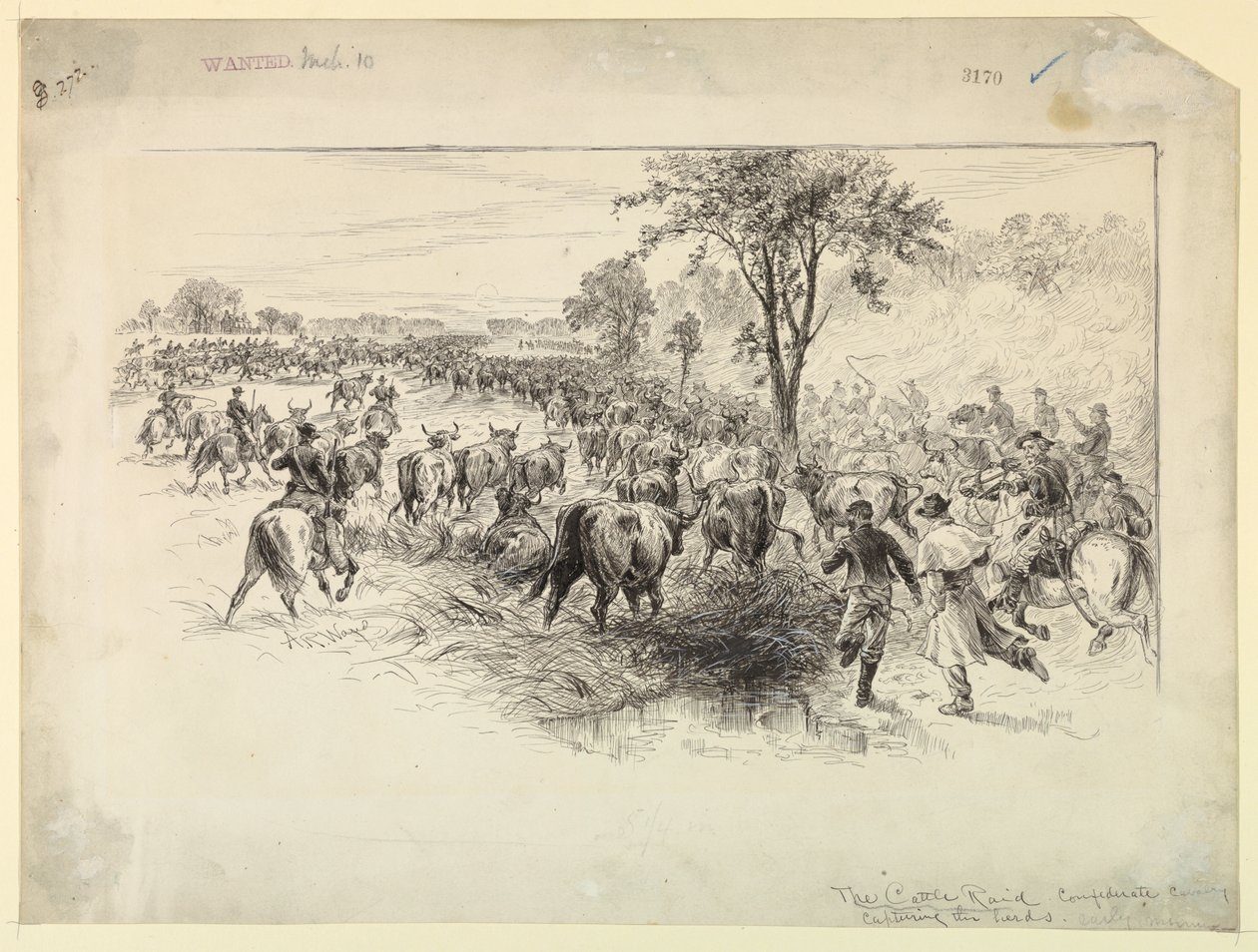 Le Raid de bétail par la cavalerie confédérée - Alfred R. Waud